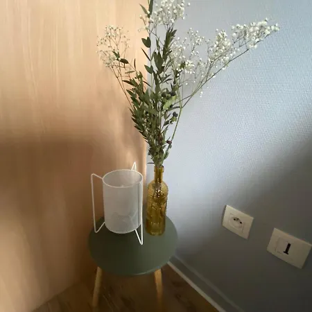 Le Petit Curiste Metz Luxembourg Un-séjour-à-part Appartement *