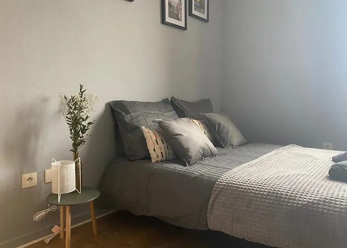 Le Petit Curiste Metz Luxembourg Un-sejour-a-part Apartmán