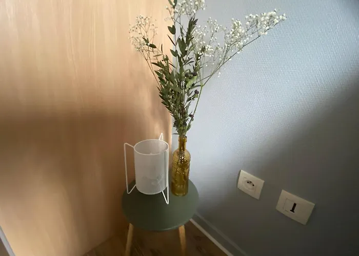 Le Petit Curiste Metz Luxembourg Un-sejour-a-part Apartmán *